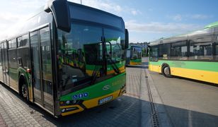 Autobusy i osobówka zderzyły się w Poznaniu. Ranny człowiek, tworzą się korki