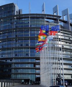 Wybory do europarlamentu 2019. Latarnik wyborczy w Wirtualnej Polsce. Zrób test!