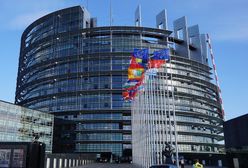 Czesi nie poprą wobec Polski art. 7? "To zdanie wyjęte z kontekstu"