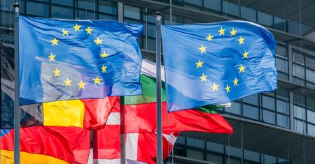 Wybory do Parlamentu Europejskiego 2019. Bydgoszcz i Toruń – okręgi i listy wyborcze, kandydaci