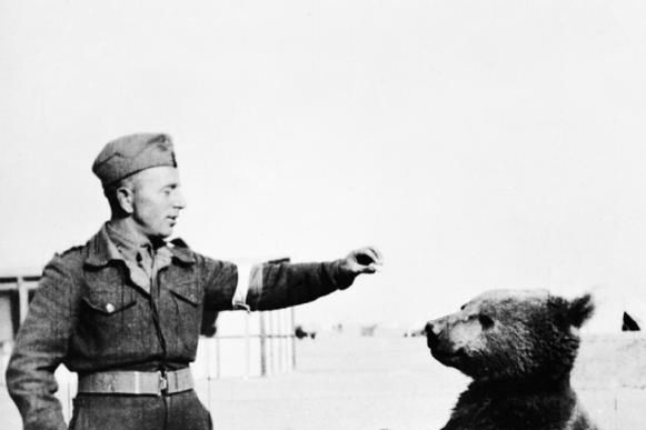 ''Soldier Bear'': powstaje kolejny film o niedźwiedziu Wojtku, bohaterze drugiej wojny światowej