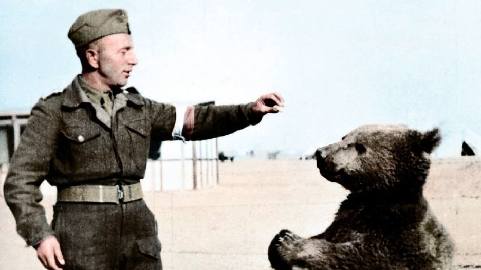 Wojtek z polskim żołnierzem w Iranie, 1942 r.