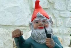 Kradł działkowcom krasnale i gliniane koguty