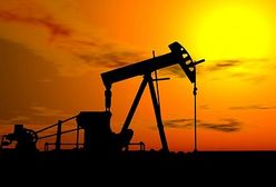 UE powinna pomyśleć, jak zmniejszyć swą zależność od gazu z Rosji