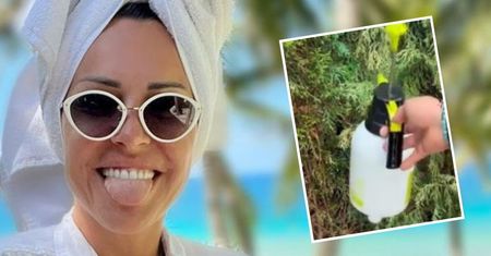 Blanka Lipińska zleciła niezwykłe zadanie swojemu ukochanemu. Sceny jak z "Misia" Barei. "To jest ręka prawdziwego artysty"
