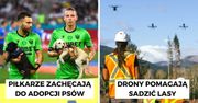 11 pozytywnych informacji, które sprawią, że odzyskasz wiarę w ludzi. Idealne na Nowy Rok