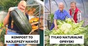 11 ogrodowych zasad, którymi kierowali się nasi dziadkowie. Stare metody są wciąż skuteczne