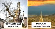 21 dowodów na to, że świat wyciąga nowe króliki z kapelusza. To skarbnica niezwykłych zjawisk