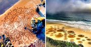 17 magicznych rysunków, które można podziwiać na plażach. Tworzą je artyści lubiący zabawę w piasku