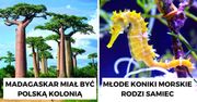 19 intrygujących ciekawostek, które sprawią, że staniesz się gwiazdą w każdym towarzystwie