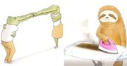 21 pełnych humoru ilustracji leniwców i krokodyli. Ciężko żyłoby się im w świecie stworzonym przez ludzi