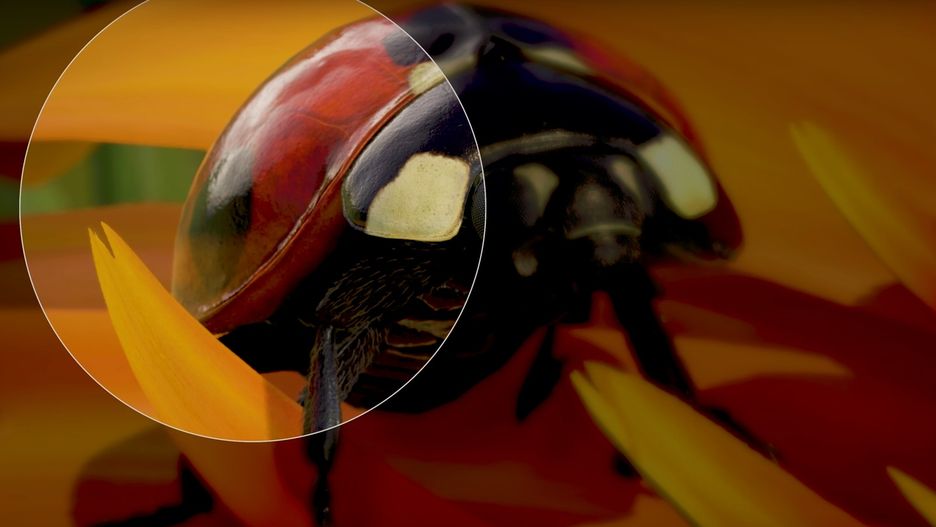 Kadr z przygotowanej na Xboksa animacji "Insects"