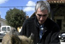 Dzik wdarł się do przedszkola i zdechł na oczach dzieci