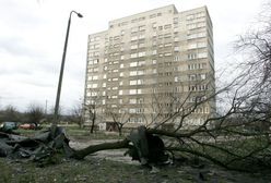 Synoptycy ostrzegają: nad Polską znów zawieje silny wiatr