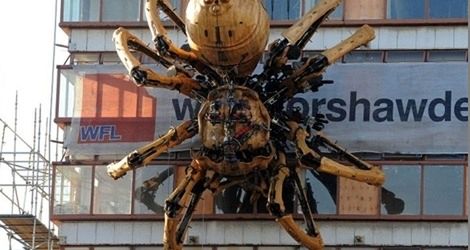 Gigantyczny pająk na północy Anglii