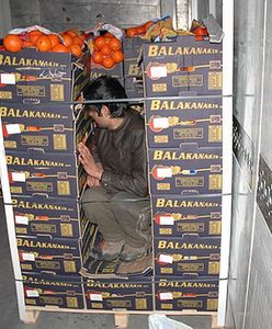 18-latek ukryty w chłodni: wypuśćcie mnie!