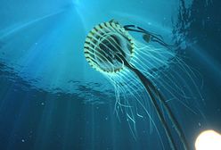 To zdarzyło się w Polsce!