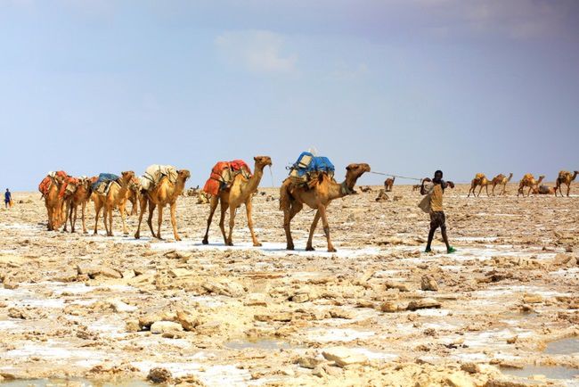 Depresja Danakil, Etiopia., Fot. rweisswald/Shutterstock 