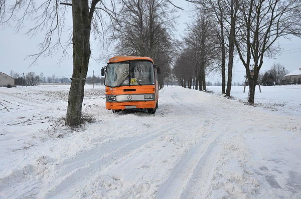 Gimbus uderzył w drzewo w Kolankowie