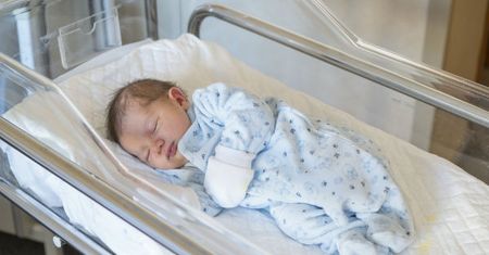Łukasz Warzecha: chcą in vitro? Niech płacą sami!