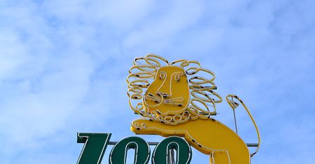 Podwyżka cen biletów we wrocławskim zoo. Za normalny zapłacimy już 40 złotych