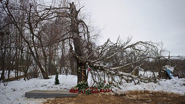Amerykańska Polonia nie wierzy, że samolot uderzył o brzozę