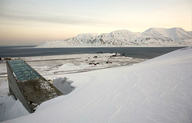 Historyczna decyzja. Syria chce nasiona ze "skarbca zagłady" w Svalbardzie