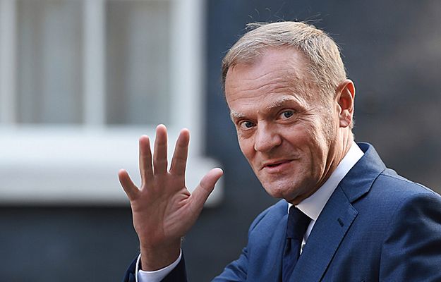 Jak bardzo Donald Tusk "bruździ" PiS-owi? Nieoficjalnie: "nam jest wszystko jedno"