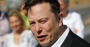 Elon Musk wycofuje się z wykupu Twittera.
