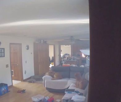 Zostawili psy same w domu. To, co zrobiły mogło skończyć się tragicznie