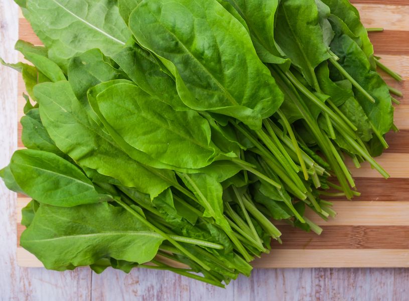 Szczaw polny to źródło witaminy C.