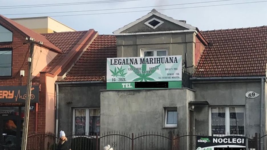 Sklepów z konopiami włóknistymi może być w Polsce nawet kilkadziesiąt. Ale "legalna marihuana"? 