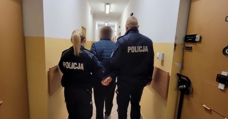 Bestialsko zabił trzy koty