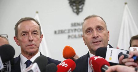 Grzegorz Schetyna o Senacie i Tomaszu Grodzkim. "Wszyscy mówili, że to nie może się udać"