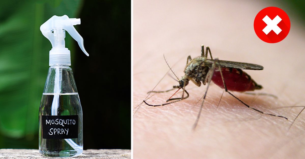 Home-Made Mixture to Keep Mosquitoes at Bay