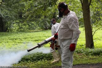 Walka z komarami i kleszczami nierówna, ale do wygrania. Koszt: od 350 zł za nieduży ogród