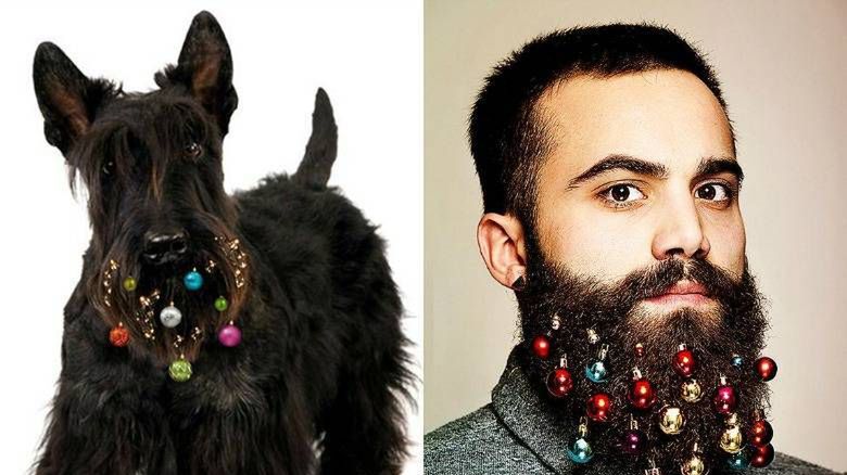 Bombki na brodę
Fotografia: twitter.com