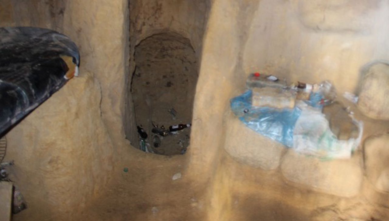 Niespodziewane odkrycie w Trójmiejskim Parku Krajobrazowym