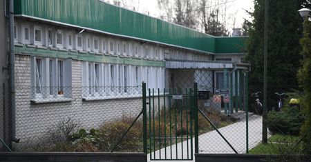 Jedzenie z przedszkola w Chotomowie było zatrute salmonellą