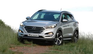 Bestsellery w segmencie SUV. Te auta kupują Polacy