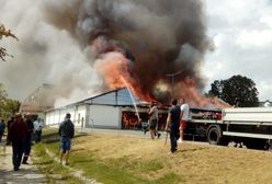 Płonie supermarket w Radomsku. Trwa akcja