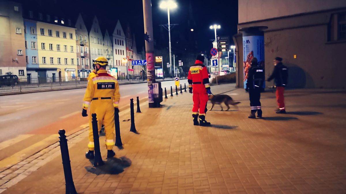 Grupa poszukiwawcza z psami 