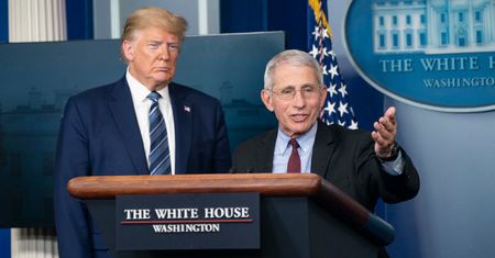 Koronawirus w USA. Anthony Fauci: koniec z uściskiem dłoni po pandemii