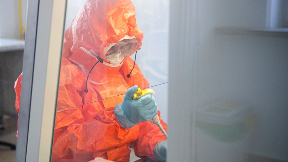 W całej Polsce jest ponad 20 laboratoriów, które zajmują się koronawirusem 