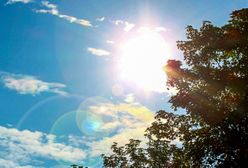 Pogoda na Wszystkich Świętych we Wrocławiu. Sprawdź prognozę na 1 listopada