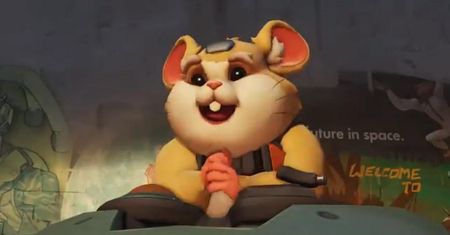 Rozchodniaczek: Japonia, Fortnite i Chomiki