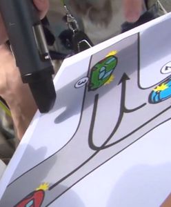 Kto ma pierwszeństwo na skrzyżowaniu - sonda uliczna