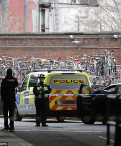 Bomby w Londynie. Policja bada sprawę podejrzanych przesyłek