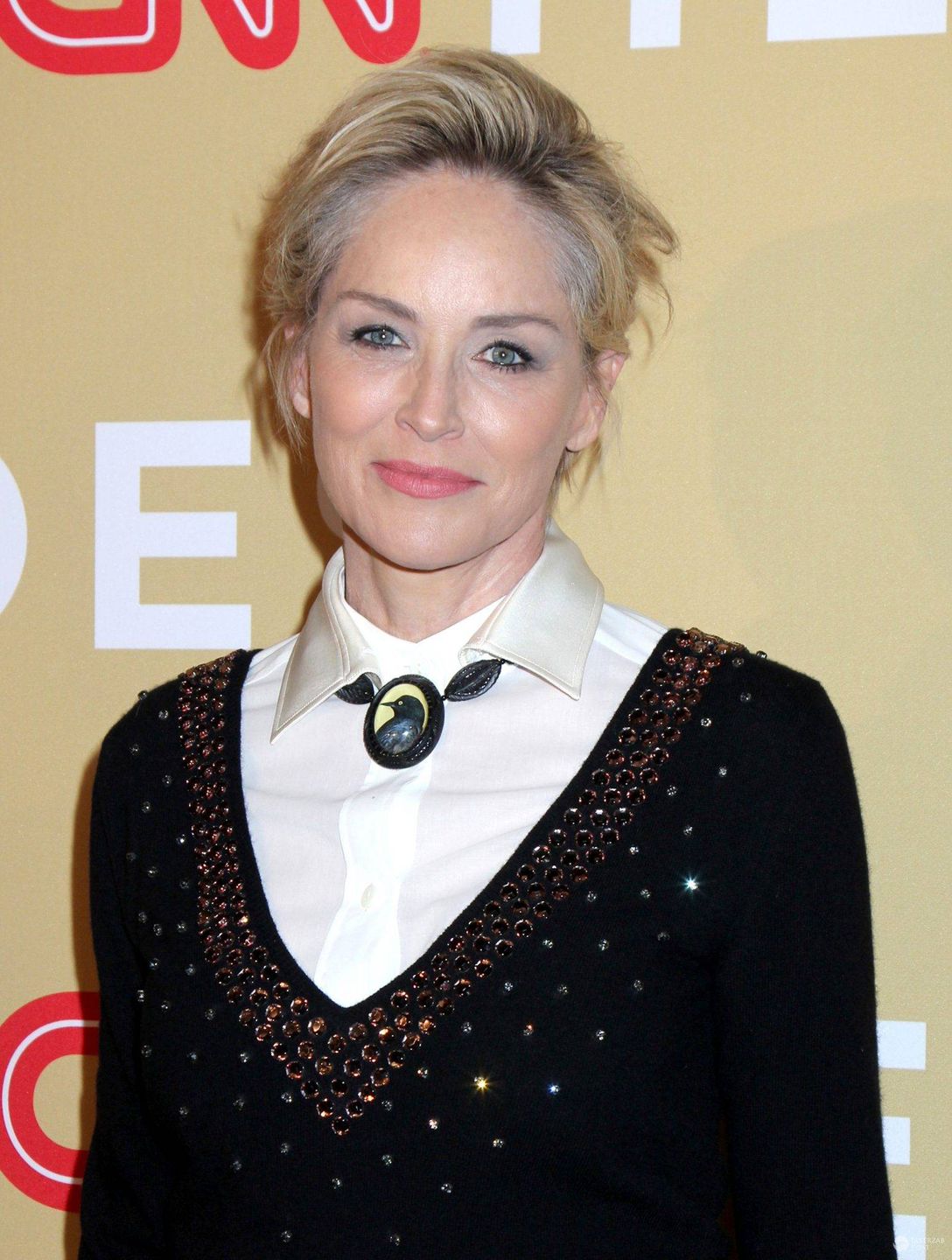 Sharon Stone z siwymi odrostami