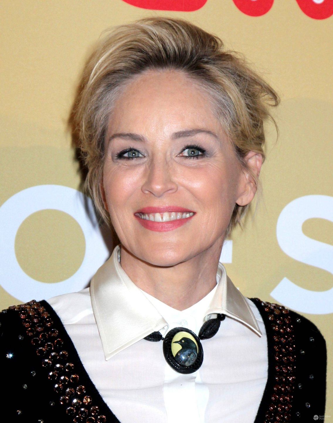 Sharon Stone ma siwe odrosty